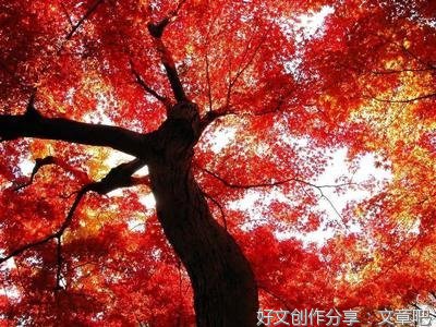 关于1的优美句子