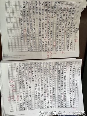 关于雨后即景的作文