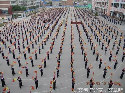 书法比赛经典作文