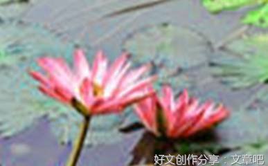假如我是长大我想帮爸爸什么10篇