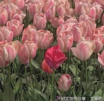 颓▽.句子