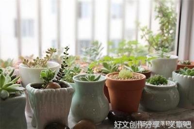 啄木鸟给大树治病经典作文