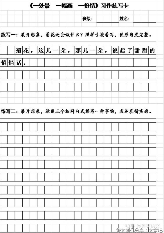 多姿多彩的夏天 作文800字