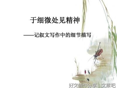 有关细节描写的作文600字