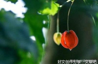 人生的枷锁的句子