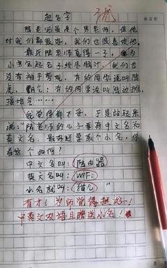 我们家的新成员作文大全