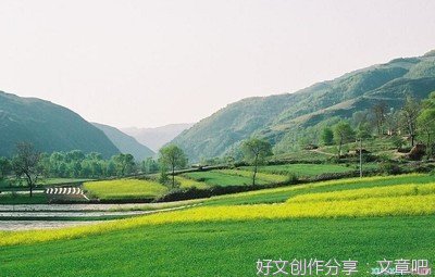 我变成了一盏路灯作文大全