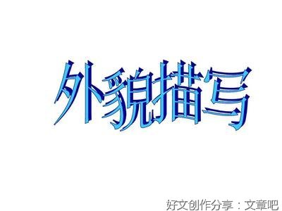 运用人物描写的作文600800字