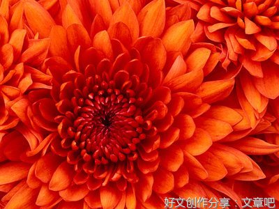 关于读书对人的好处的作文10篇