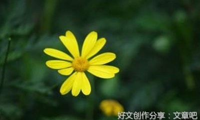 关于仙居的山作文200字500字