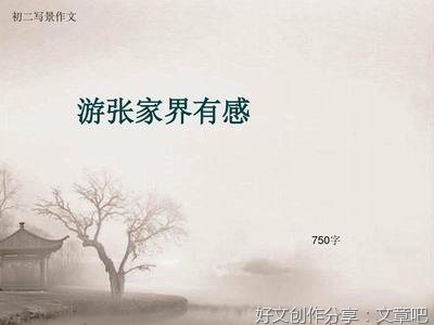 有关游张家界的作文
