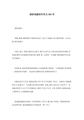 玩电脑作文500字