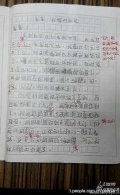 看球赛作文大全