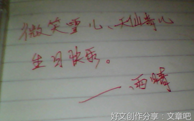 罚作文大全