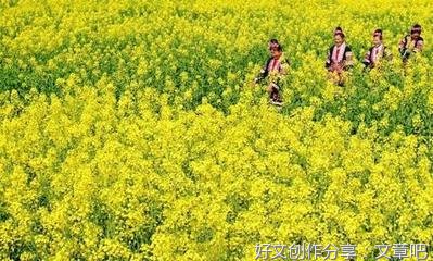 花海作文