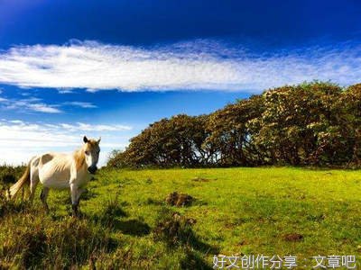 深奥优美的句子