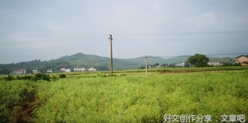 半生游句子大全
