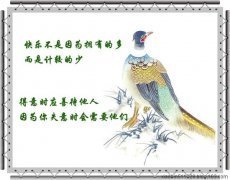 《心灵小感悟》经典名句