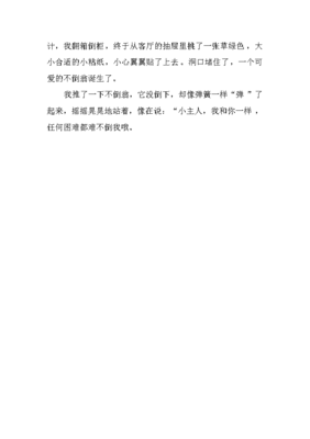 做不倒翁通用作文