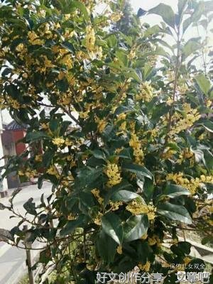 变个颜色作文(通用10篇)