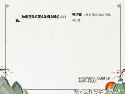 初中作文我最喜欢的小动物600字