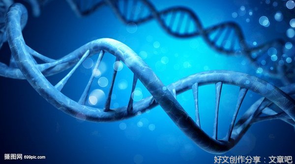 先天后天：基因、经验以及什么使我们成为人（珍藏版）读后感锦集