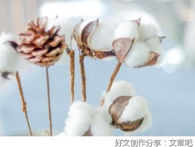 爱经典名句