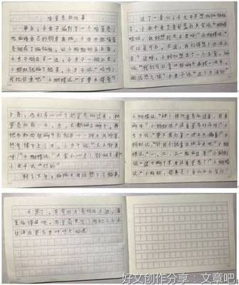 关于巧用鸡蛋壳的作文