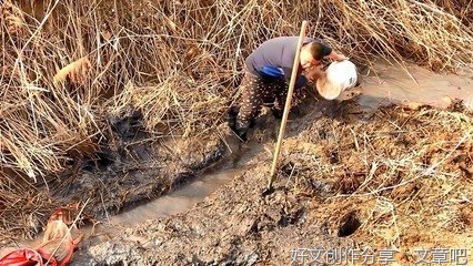 开开心心过大年经典作文