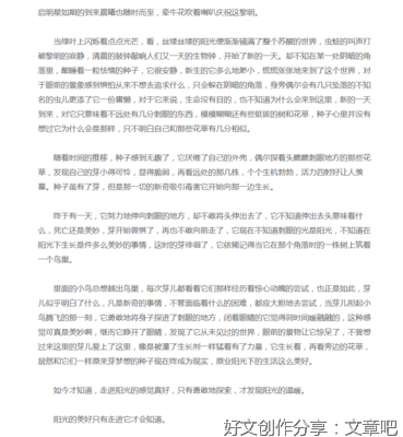 我心中的宝藏作文600字