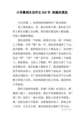 畅想暑假生活作文500