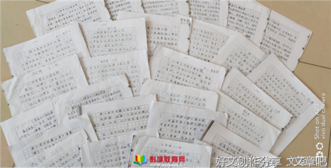 关于精忠卓越的100字作文300字