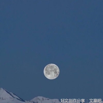 《白》的句子