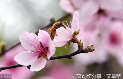 一起同过窗名句欣赏