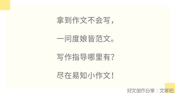 护蛋的故事通用作文