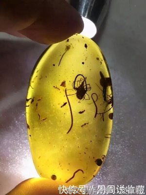 时空穿梭机经典作文