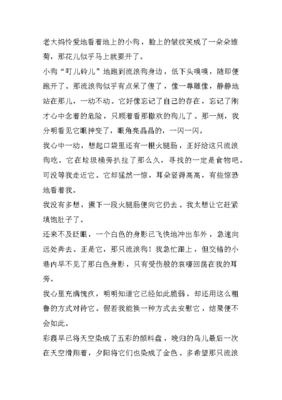 流浪狗作文(精选10篇)