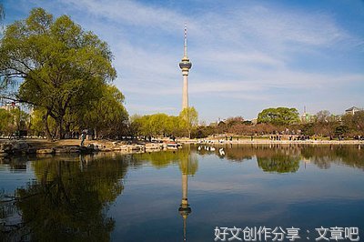 游玉渊潭公园作文(精选10篇)