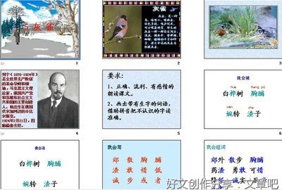 灰雀作文(精选10篇)