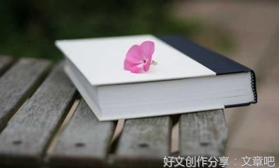 小说而已优美的句子