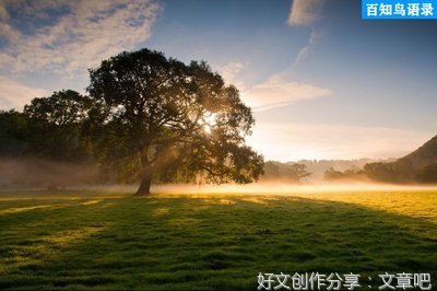 关于漫染的优美句子