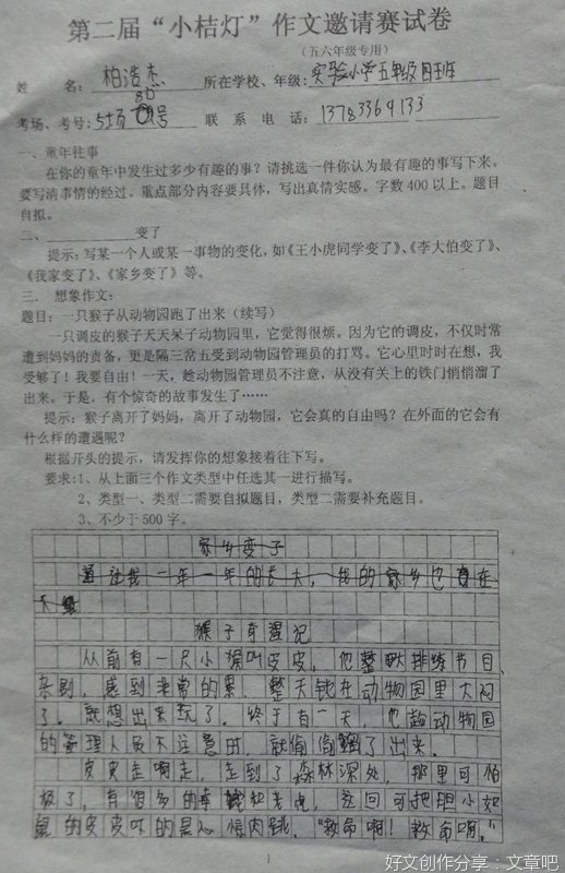 有关特殊的经历的作文