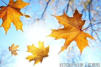 秋天的画作文(通用10篇)