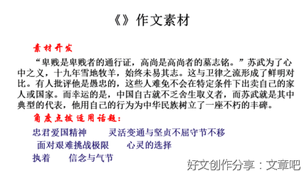 苏武的故事作文500字