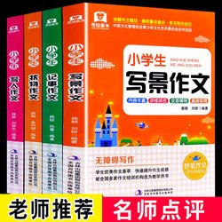 写景记事写物写人的200字作文800字