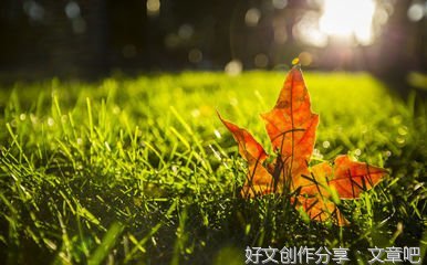 我最爱的季节作文300字