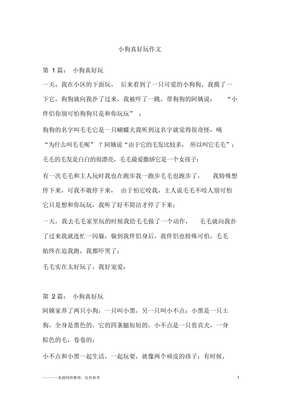 关于哈小狗真有趣!的作文
