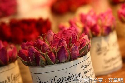 关于感悟的优美句子