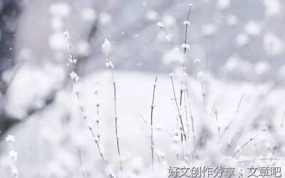 雪娃娃通用作文
