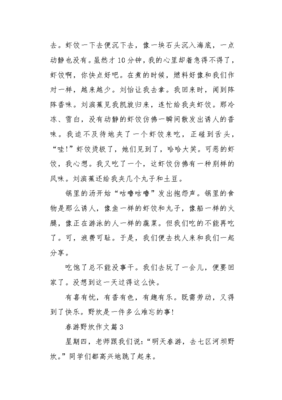 一次难忘的野炊作文10篇